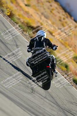 media/Oct-24-2025-2WTD (Fri) [[491f36c2bf]]/B Group/Session 3 (Turn 5)/